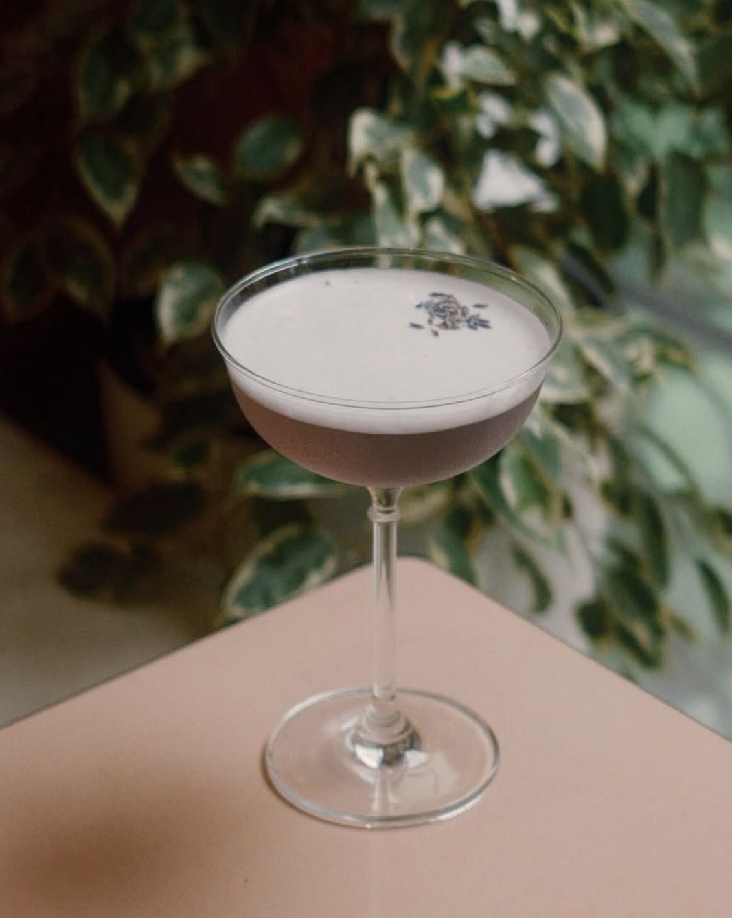 Creamy cocktail with lavender garnish