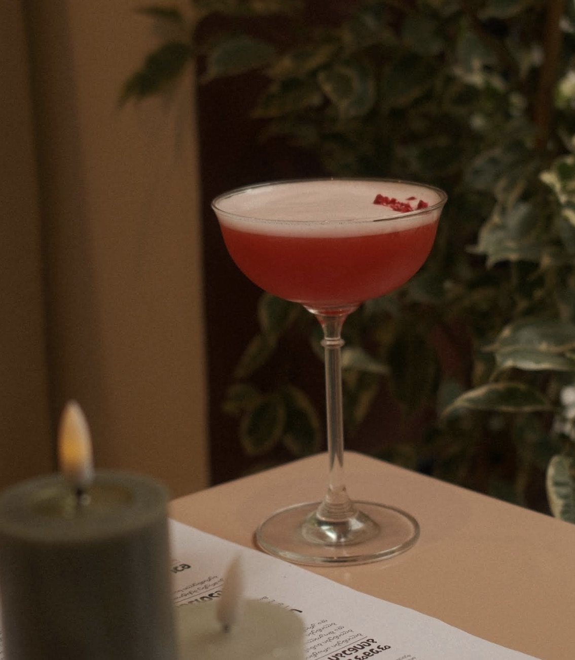 Blush cocktail in a coupe